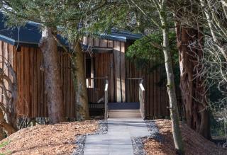 Chiffchaff Treehouse - Stirling - 2