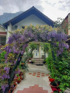 Pension Eden - Băile Herculane - 9