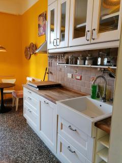 La volpe gialla - Savona - 3