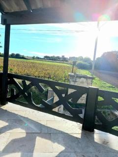 Le scandinave de Vendargues - 4