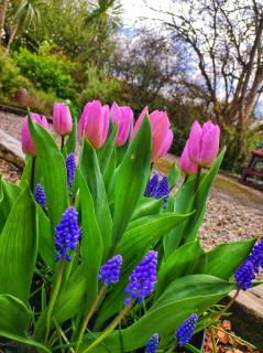 Apartments at Ballinsheen House & Gardens - Lisdoonvarna - 2