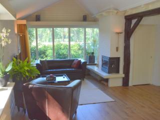 Holiday Home in Haaksbergen by Lake - Haaksbergen - 2
