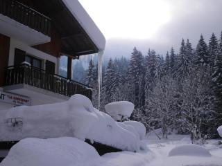 Hôtel la Kinkerne - Morzine - 0