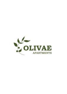 Olivae Apartments - Trogir - 9