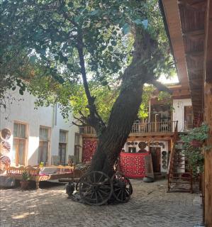 Hotel Legende - Samarcande - 0