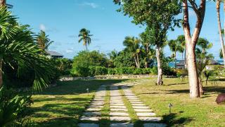 Pineapple Fields - Governorʼs Harbour - 3