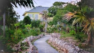 Pineapple Fields - Governorʼs Harbour - 5