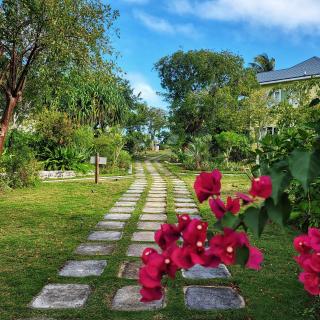 Pineapple Fields - Governorʼs Harbour - 1