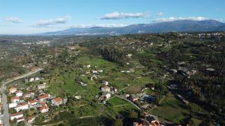 Casa do Viso - Oliveira do Hospital - 6