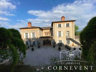 Appartement Cocon dans domaine historique d'exception - Vernaison - 9