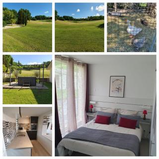 Appartement cosy sur les Coteaux - à 10 min de Saint-Emilion - 2