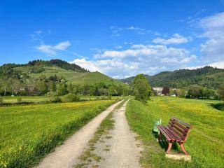 Black Forest Apartments - Gengenbach - 8