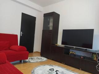 VSD Apartment - Predeal - 9