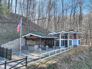 Luxe Escape - Modern Getaway Cabin with Mtn Views - Mineral Bluff - 1