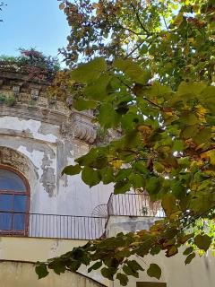 Palazzo Carafa di Montorio - Naples - 4