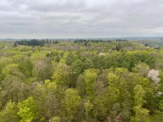 Appartment bezaubernder Landblick - Timmendorfer Strand - 6