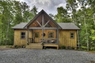 Wood Nest Retreat - Dog friendly in Blue Ridge GA - Blue Ridge - 3