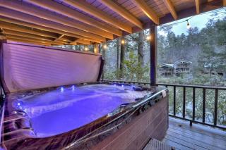 Riverside Hideaway on Toccoa River Dog Friendly - Blue Ridge - 9