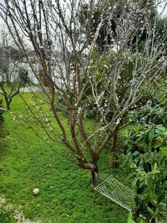 Salento Appartamenti - 5