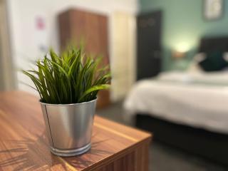 Modern 3 bedroom apartment close to the city centre - 1