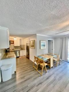 Beach Lovin/ 1 BR, handicap access, pets ok - Myrtle Beach - 6