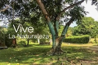 Casa finca vacacional con piscina disponible para eventos fiestas y pasa dias - 8