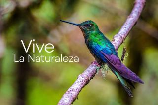 Casa finca vacacional con piscina disponible para eventos fiestas y pasa dias - 2