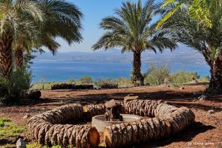 בקתה בתמרים - 7