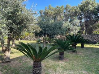 Calafato Guest House - 4