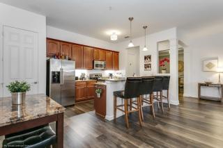Beautiful Modern Vista Cay Condo, Near Parks-2011 - 4