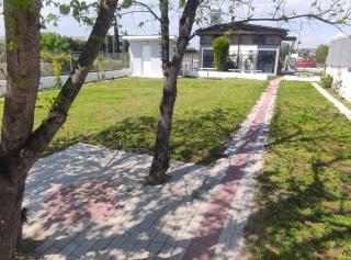 Harmony Sophie's - 9