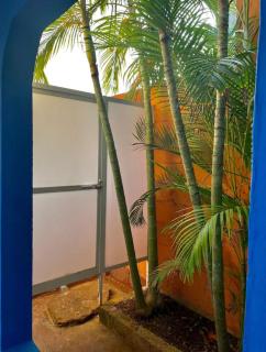Casa Azul - 9