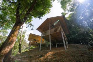 Glamping Colibrí - Finca Heliconias - Neily - 7