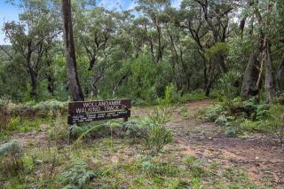 The Teachers Cottage - Mount Wilson - 1