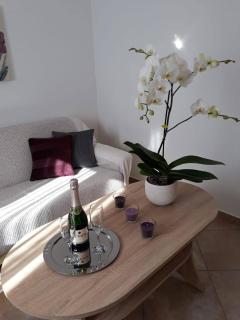 Holiday house with a parking space Razanac, Zadar - 21253 - 9
