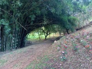 Pousada e Camping Santa Fé - 1