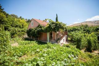 House River - 4