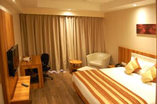 Hotel Le Roi Raipur at Raipur Railway Station - Raipur - 2