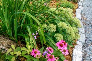 Full of Light Cottage - Rockland - 5
