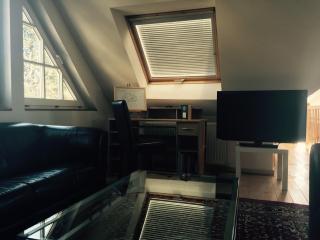 Hotel Hahn Gondelsheim - Gondelsheim - 1