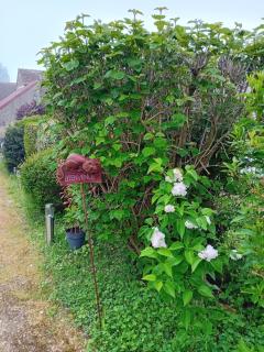 Ode au Bonheur St Georges sur Cher - Saint-Georges-sur-Cher - 2