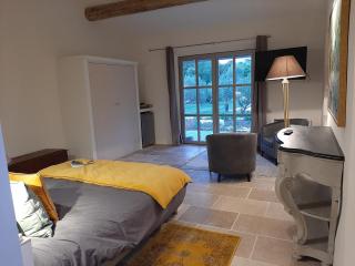 AU CLOS DU PRESSOIR sauna spa et piscine au coeur d'un vignoble - Aspères - 4