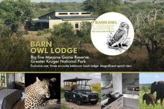 Barn Owl Lodge, Mjejane Game Reserve, Greater Kruger Park - 9