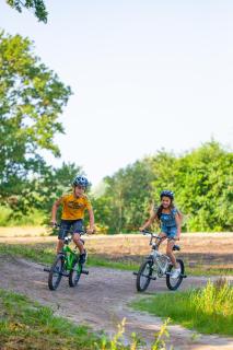 RCN de Flaasbloem - 1