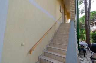 Apartments by the sea Vir - Kozjak, Vir - 20149 - Vir - 2