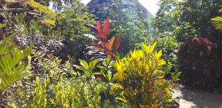 The Dream Garden Bungalow - Kizimkazi - 7