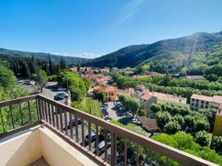 Studio Confortable avec Balcon, Clim, Wi-Fi, Proche Thermes et Centre-ville, Animaux Bienvenus - FR-1-703-118 - Amélie-les-Bains-Palalda - 9