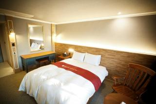 Ariana Hotel - Daegu - 9
