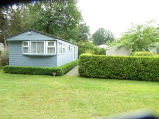 Chalet Adelaar - Vledder - 0