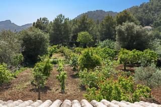 Villa Torres Pollensa - BY EMERALD STAY - 2